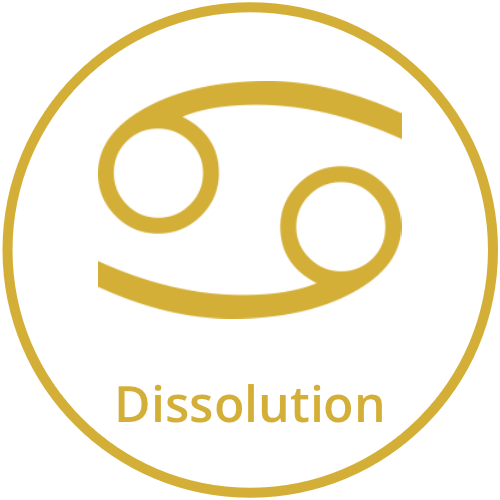 Dissolution process for the recovery of critical minerals from waste materials. circular economy. processing of mining waste for critical minerals.