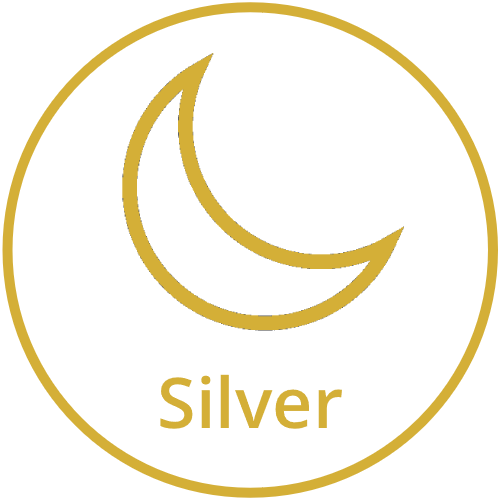 Recovery of silver and critical minerals from waste materials. circular economy. processing of mining waste for critical minerals. specialized recovery of metals from waste. silver recovery process.